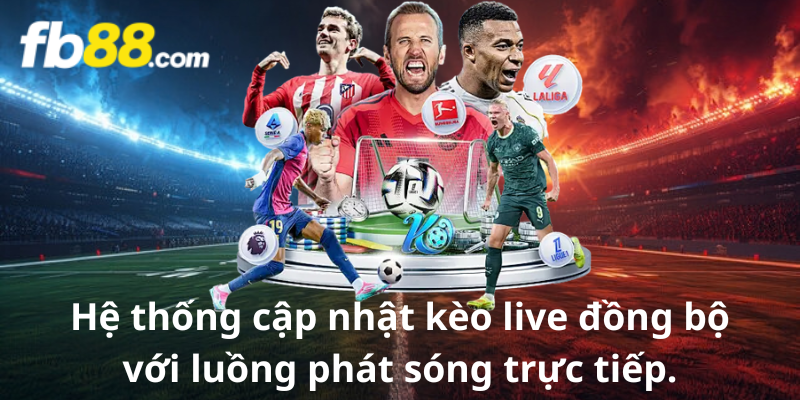 Hệ thống cập nhật kèo live đồng bộ với luồng phát sóng trực tiếp.