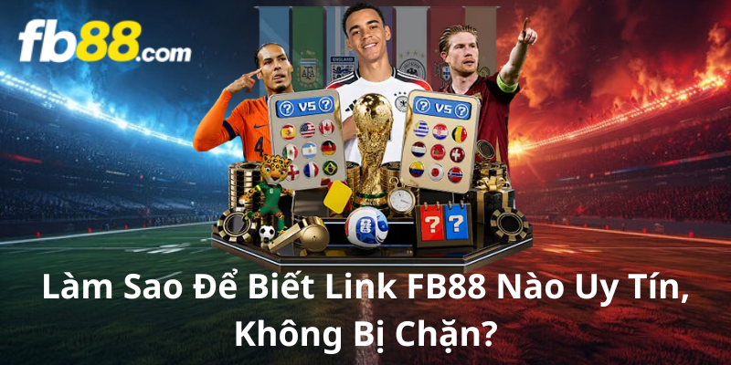 Người dùng đang kiểm tra thông tin xác thực trên màn hình laptop